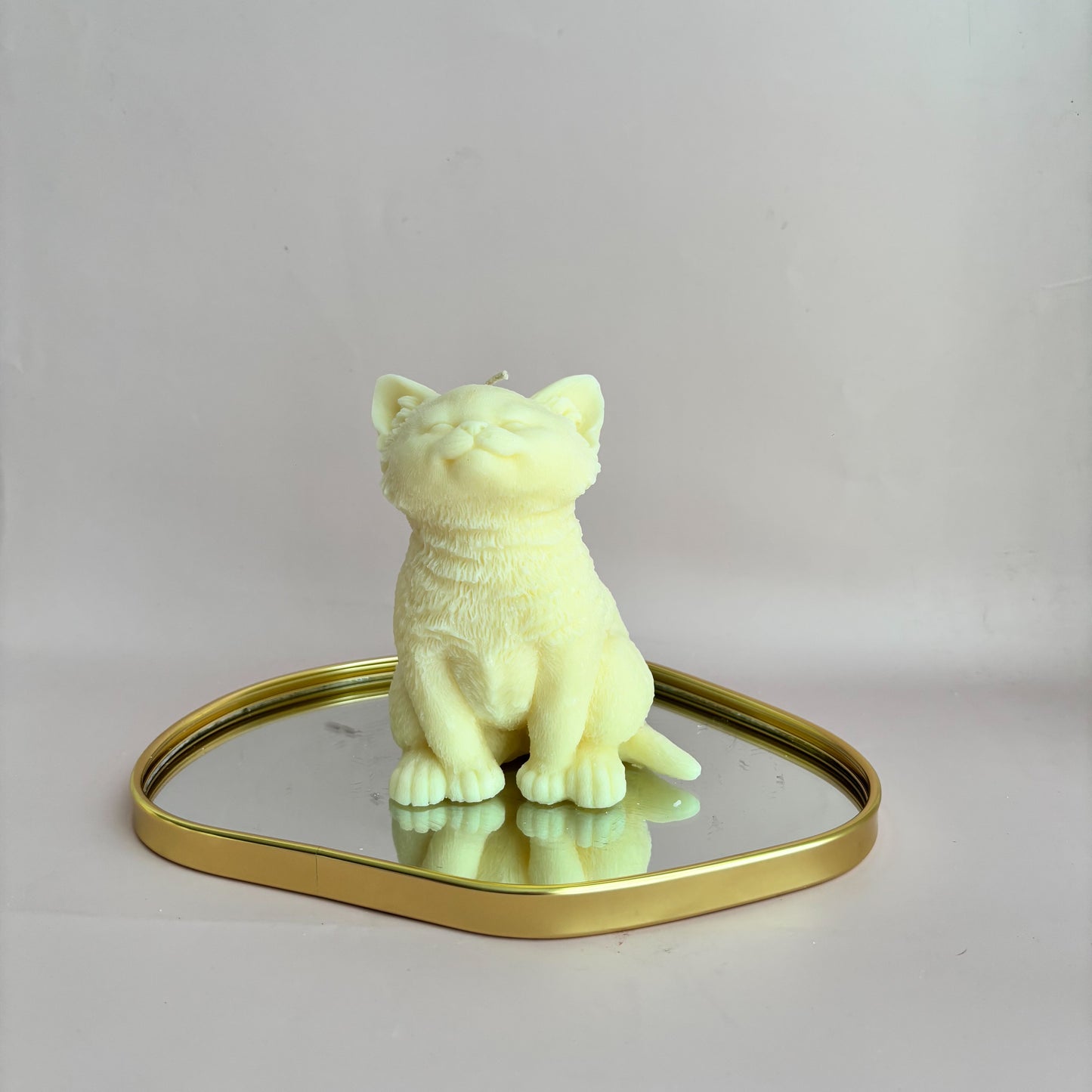 KITTY SITTING