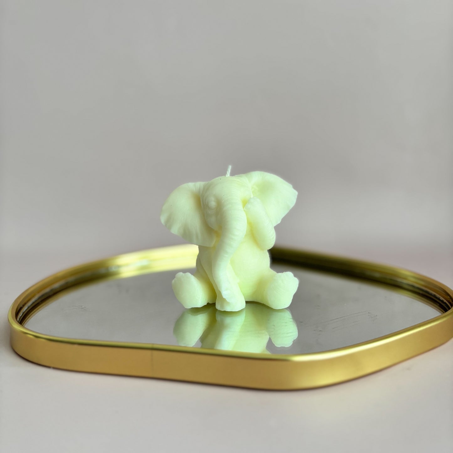 WISE ELEPHANTS