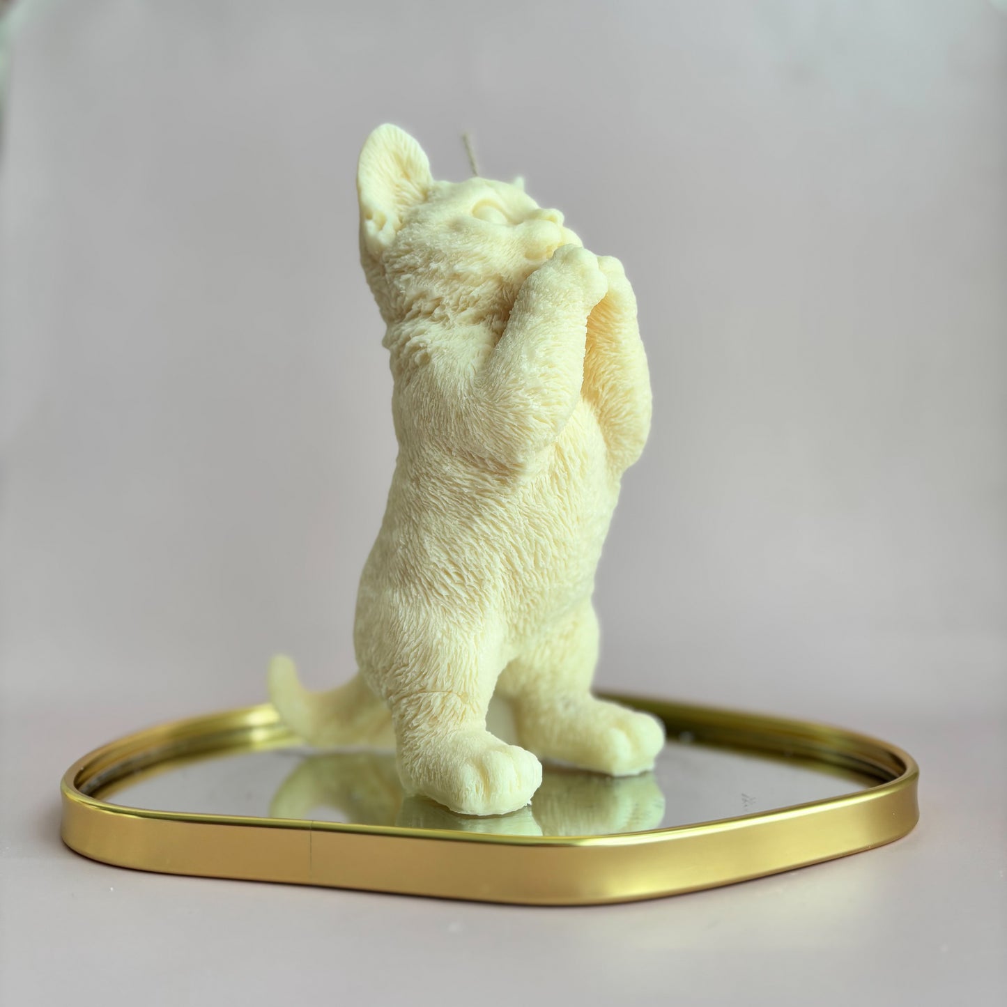 KITTY STANDING