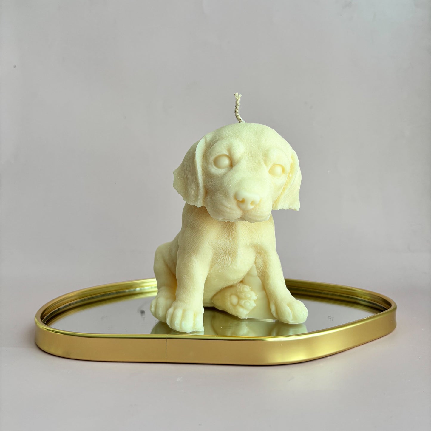 LABRADOR PUPPY