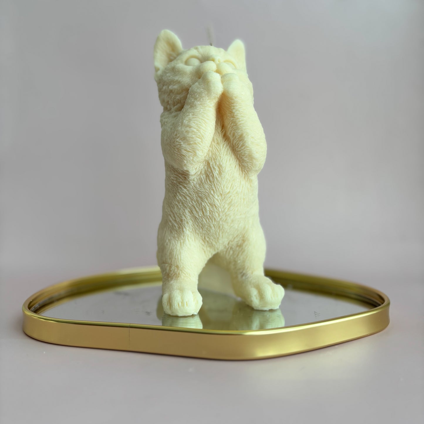 KITTY STANDING