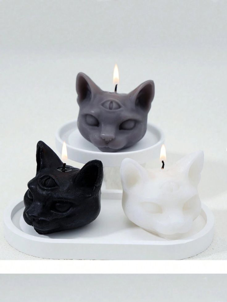 MAGIC CAT