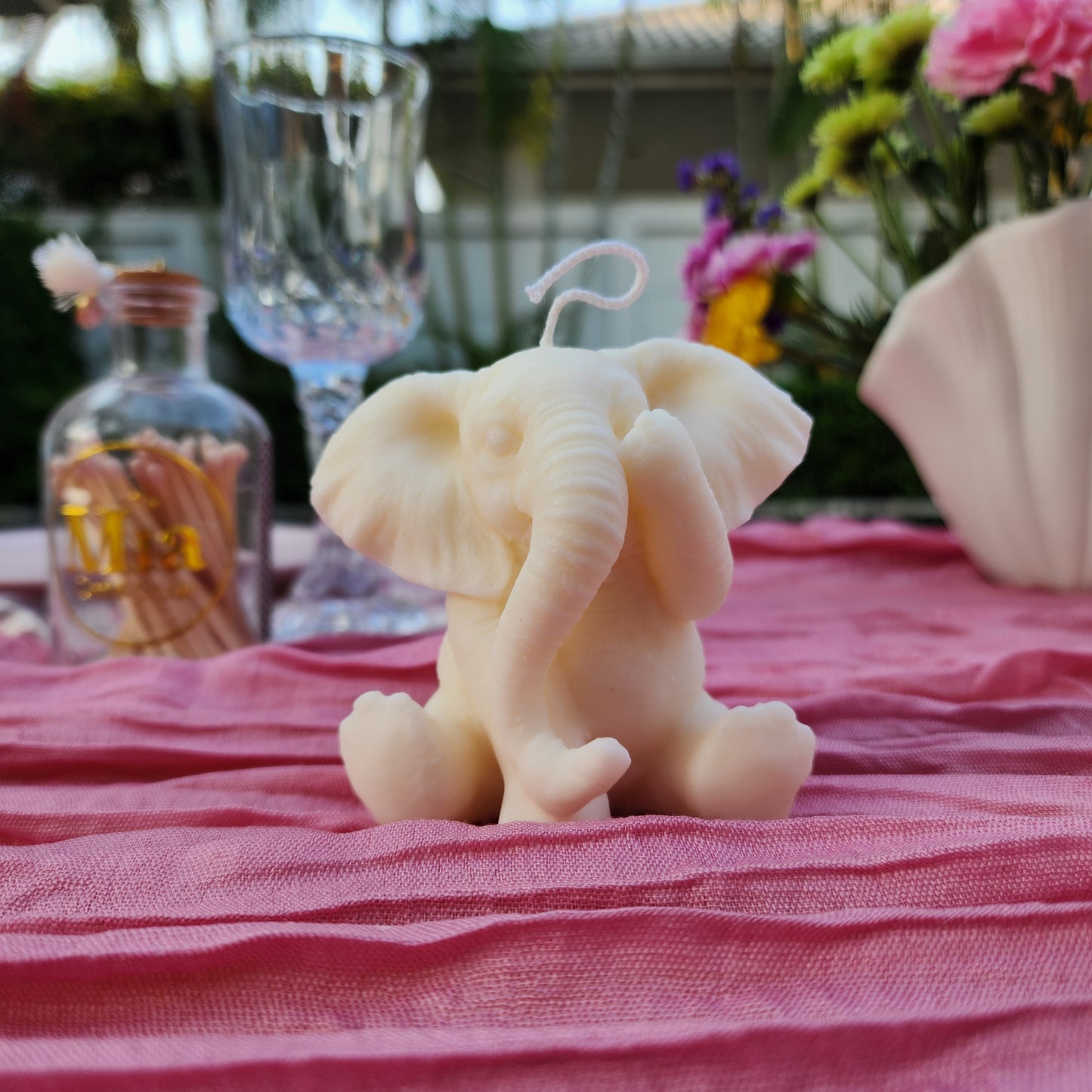 WISE ELEPHANTS