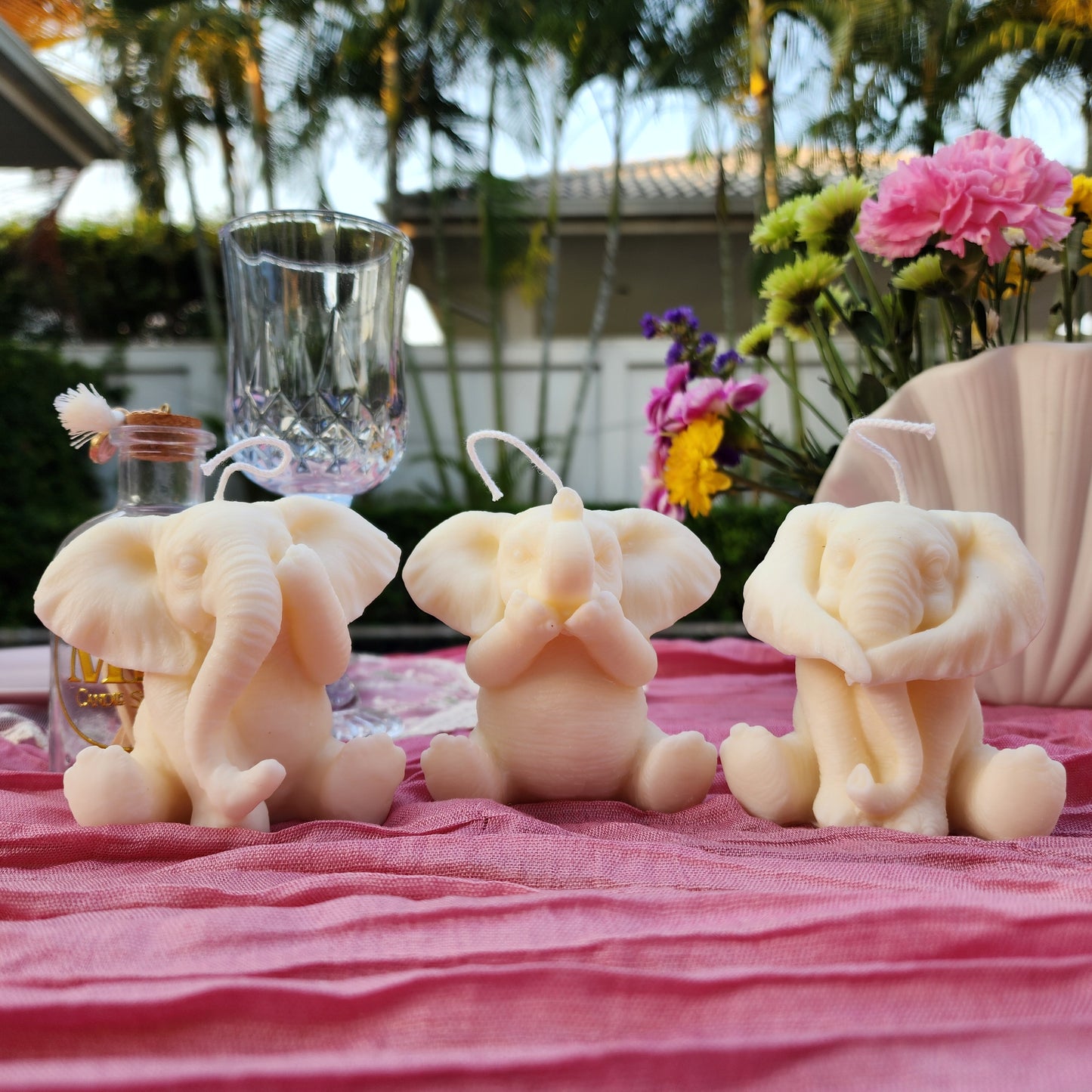 WISE ELEPHANTS
