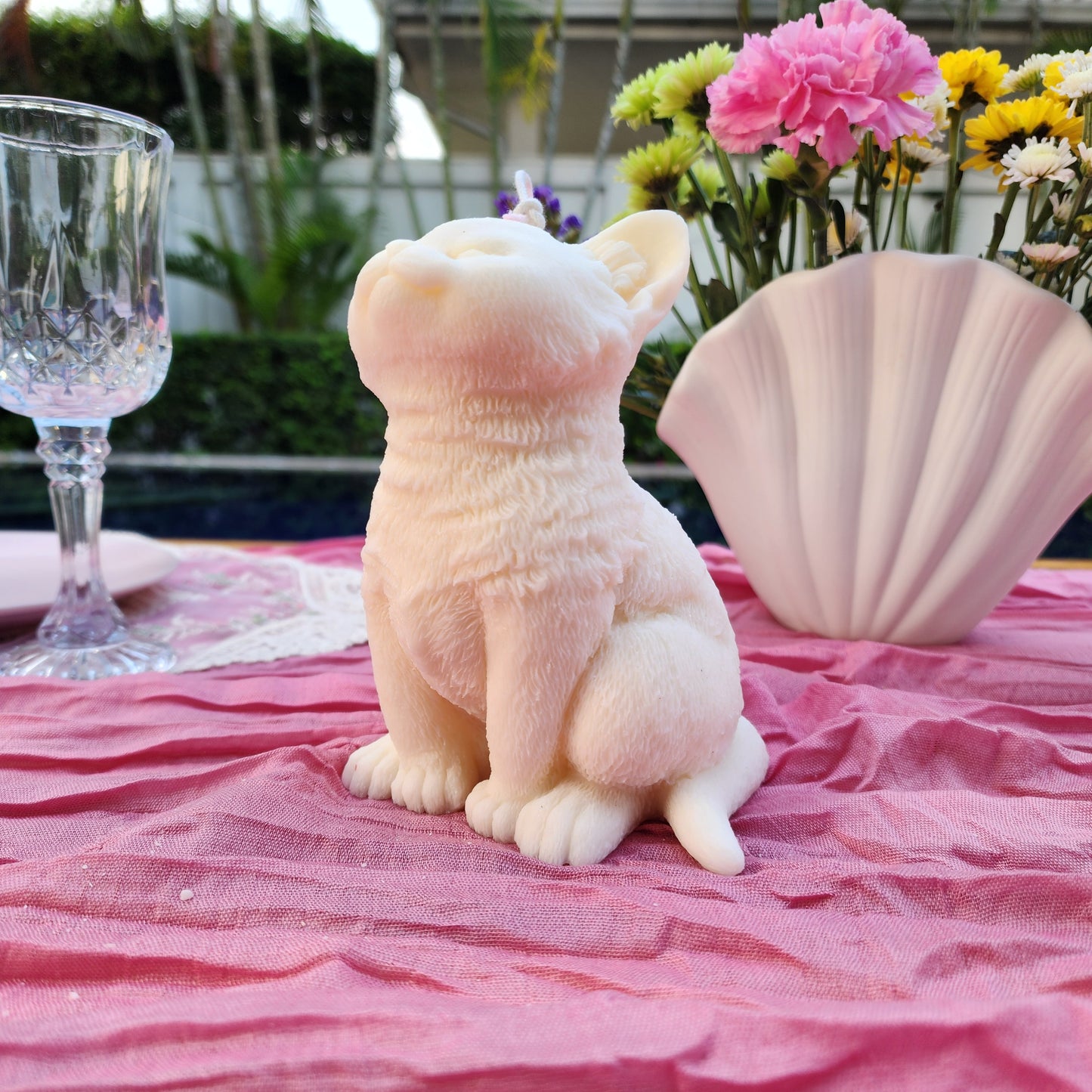 KITTY SITTING