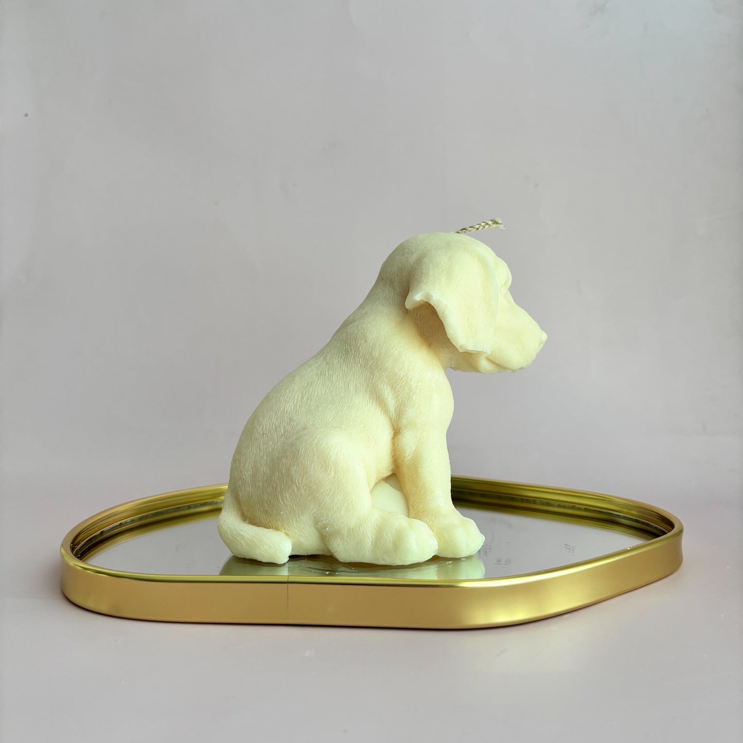 LABRADOR PUPPY