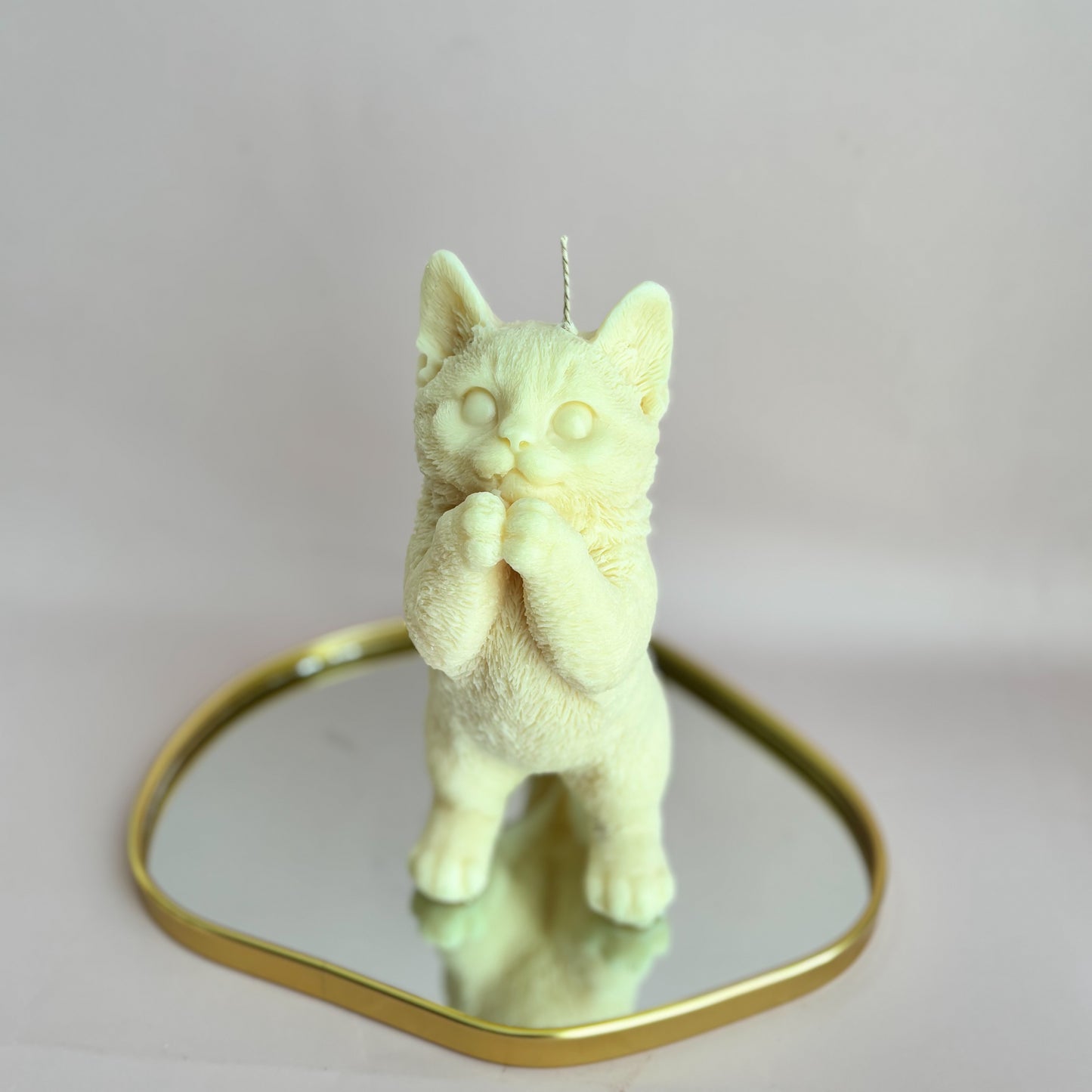 KITTY STANDING