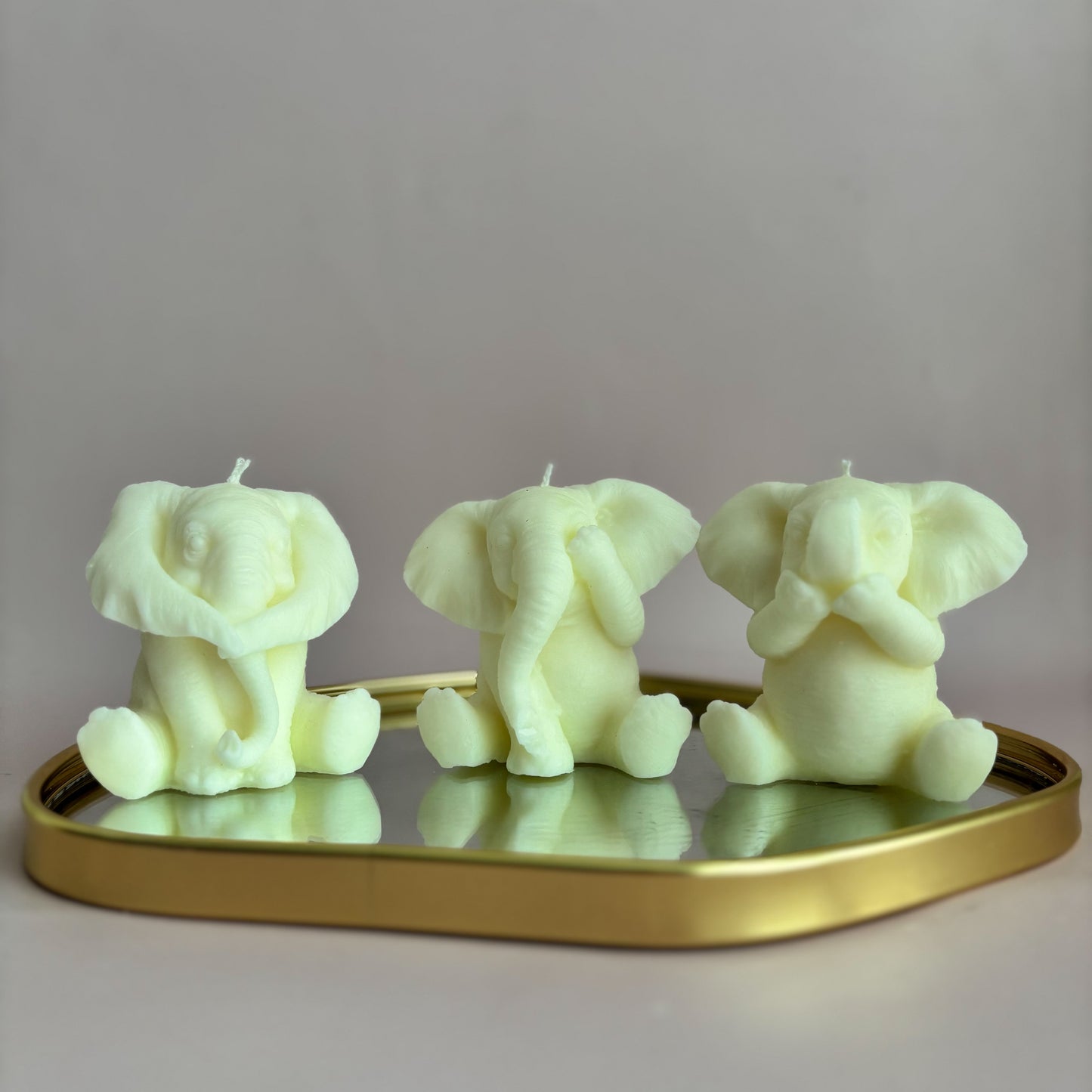WISE ELEPHANTS