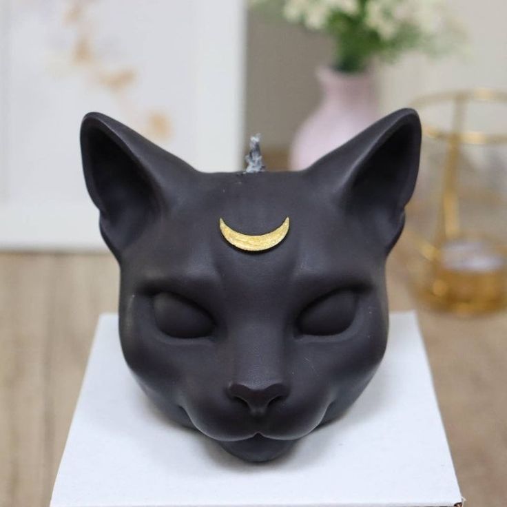 MAGIC CAT