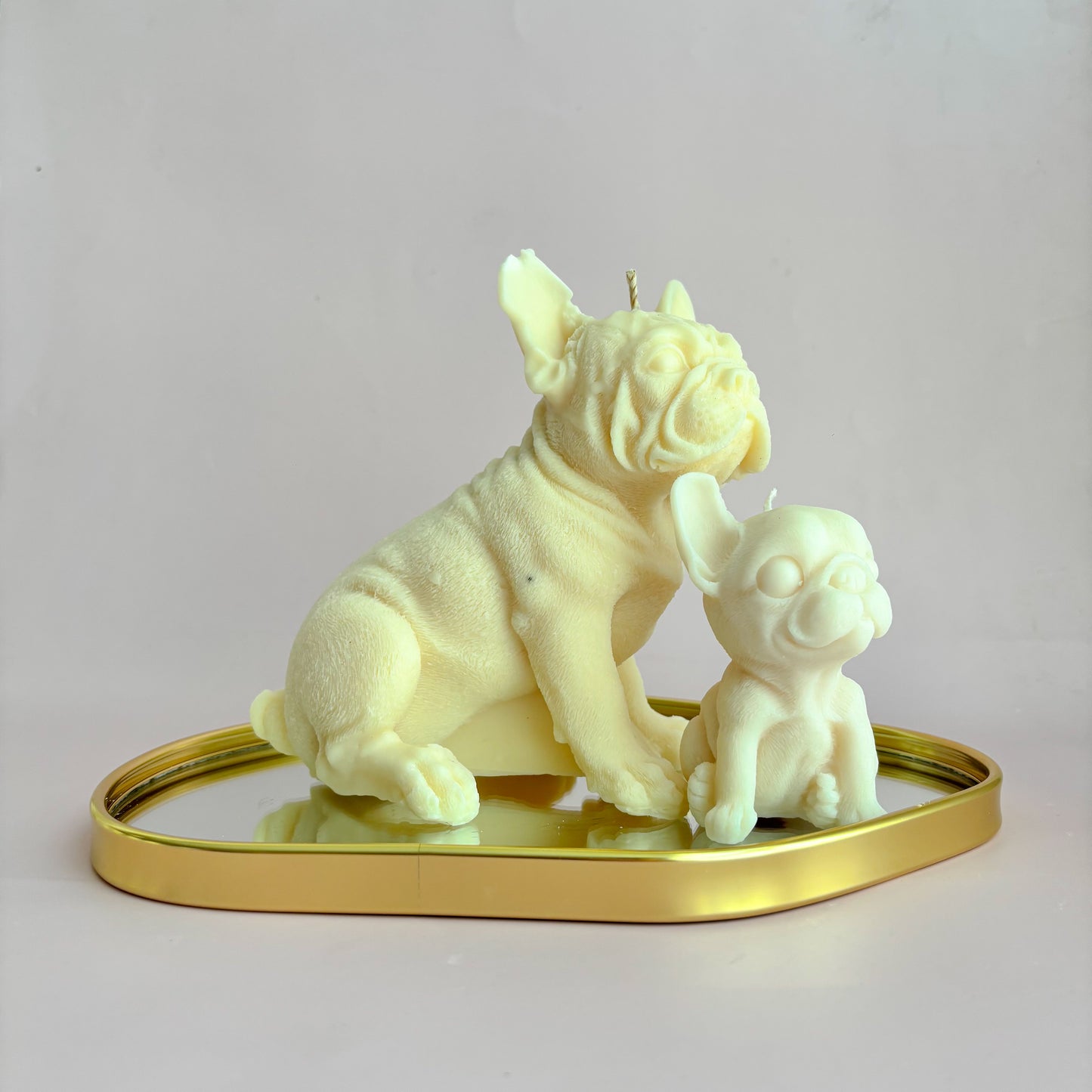 FRENCHI PUPPY