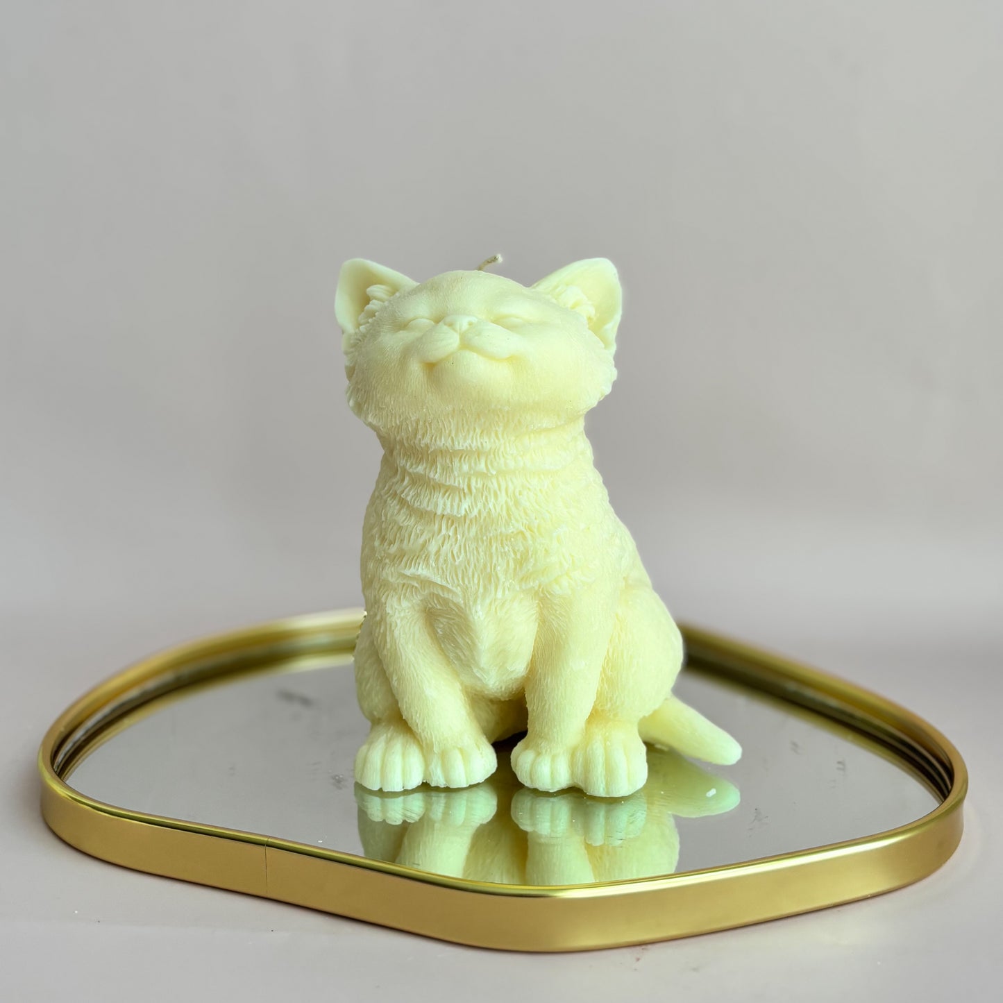 KITTY SITTING