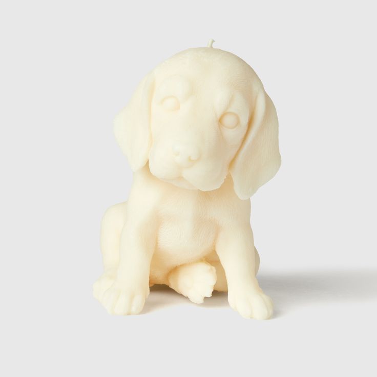 LABRADOR PUPPY
