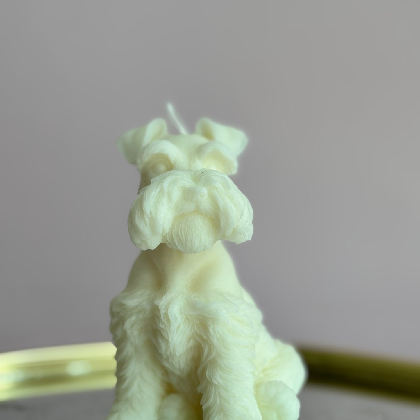 SCHNAUZER PUPPY
