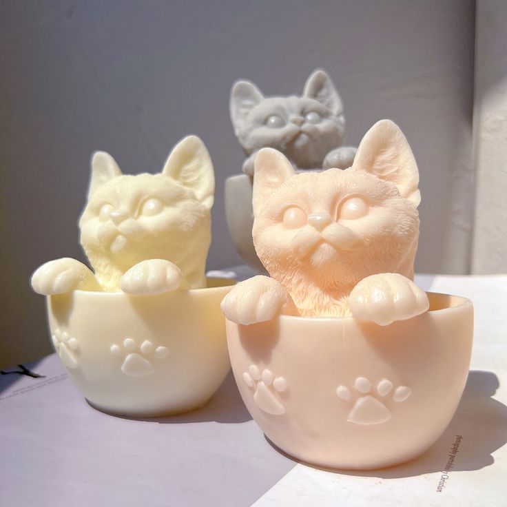 CUP CAT