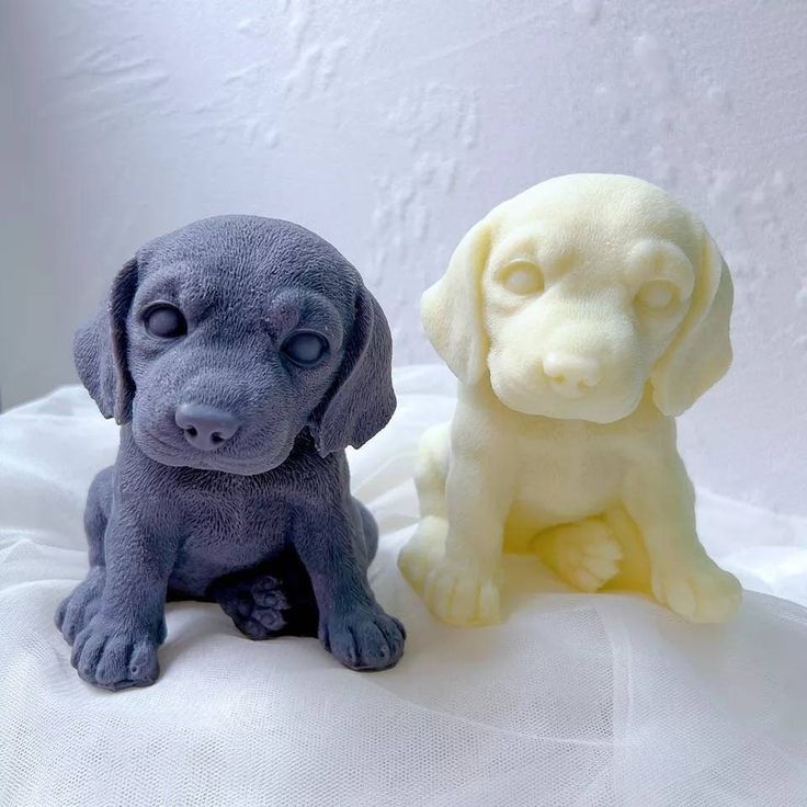 LABRADOR PUPPY