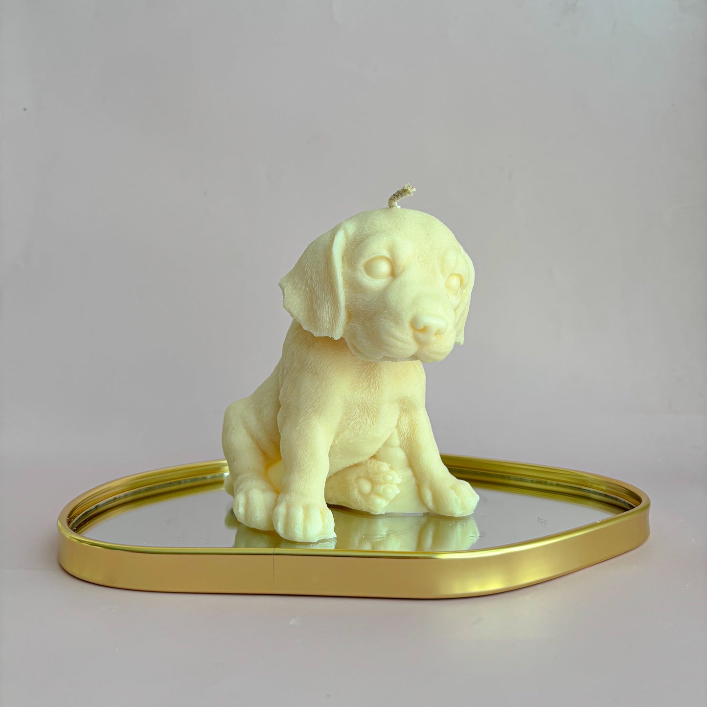 LABRADOR PUPPY