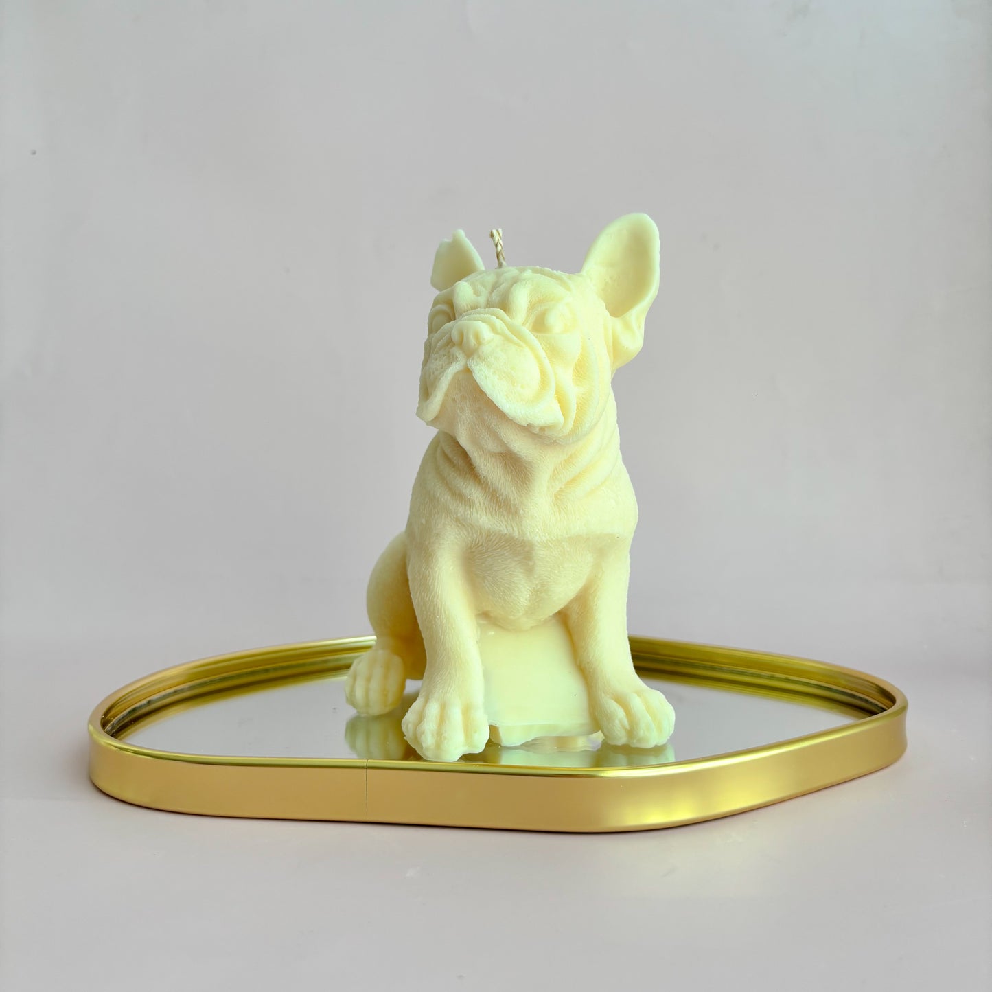 FRENCHI PUPPY