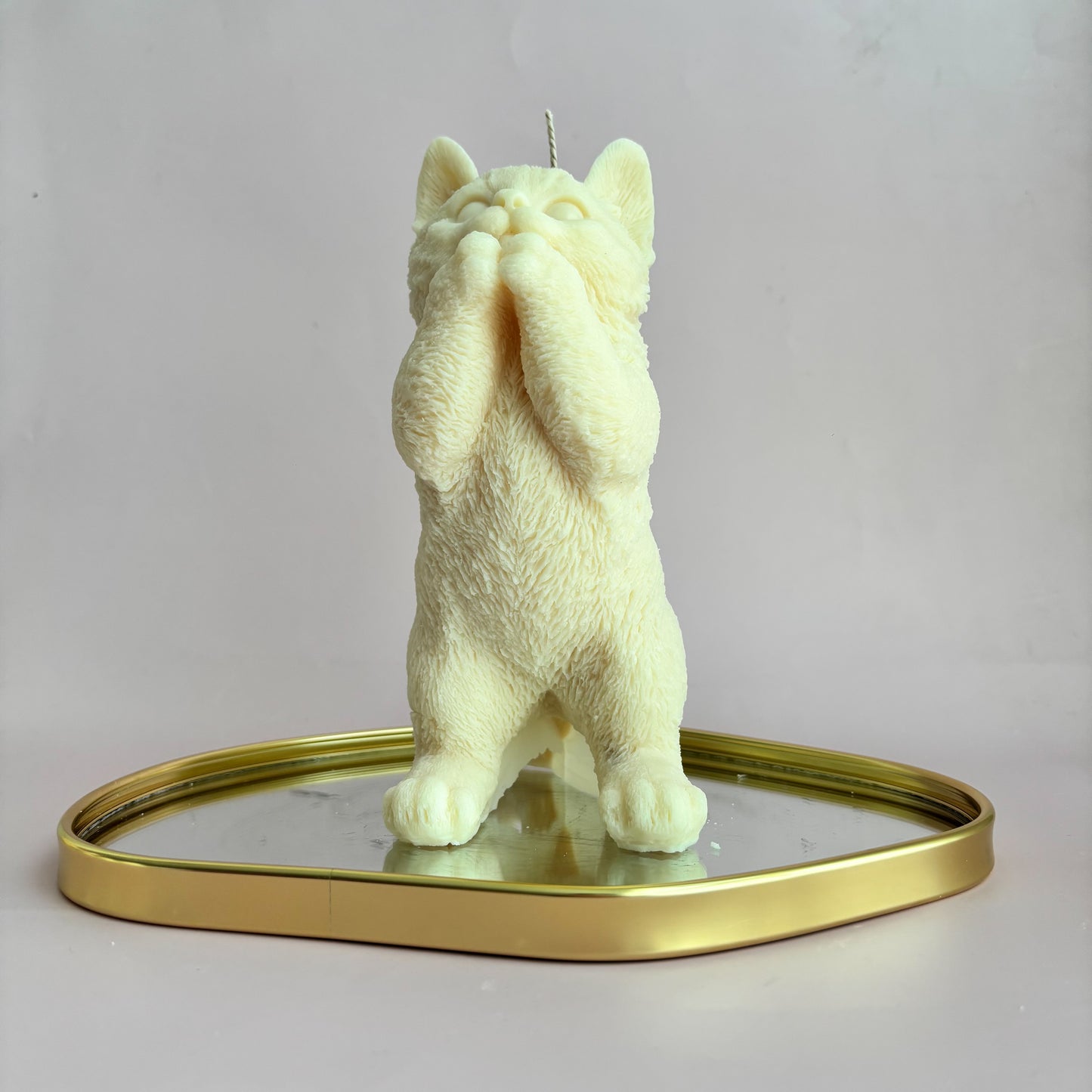 KITTY STANDING