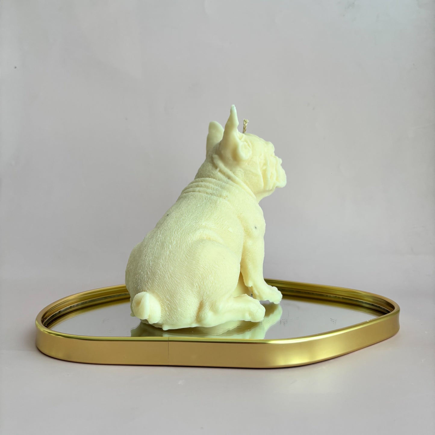 FRENCHI PUPPY