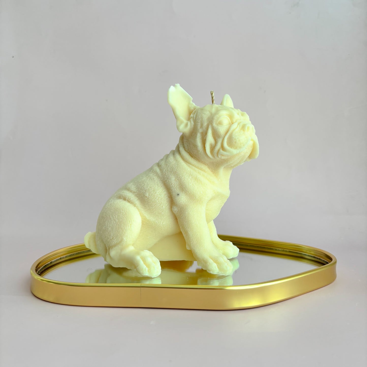FRENCHI PUPPY
