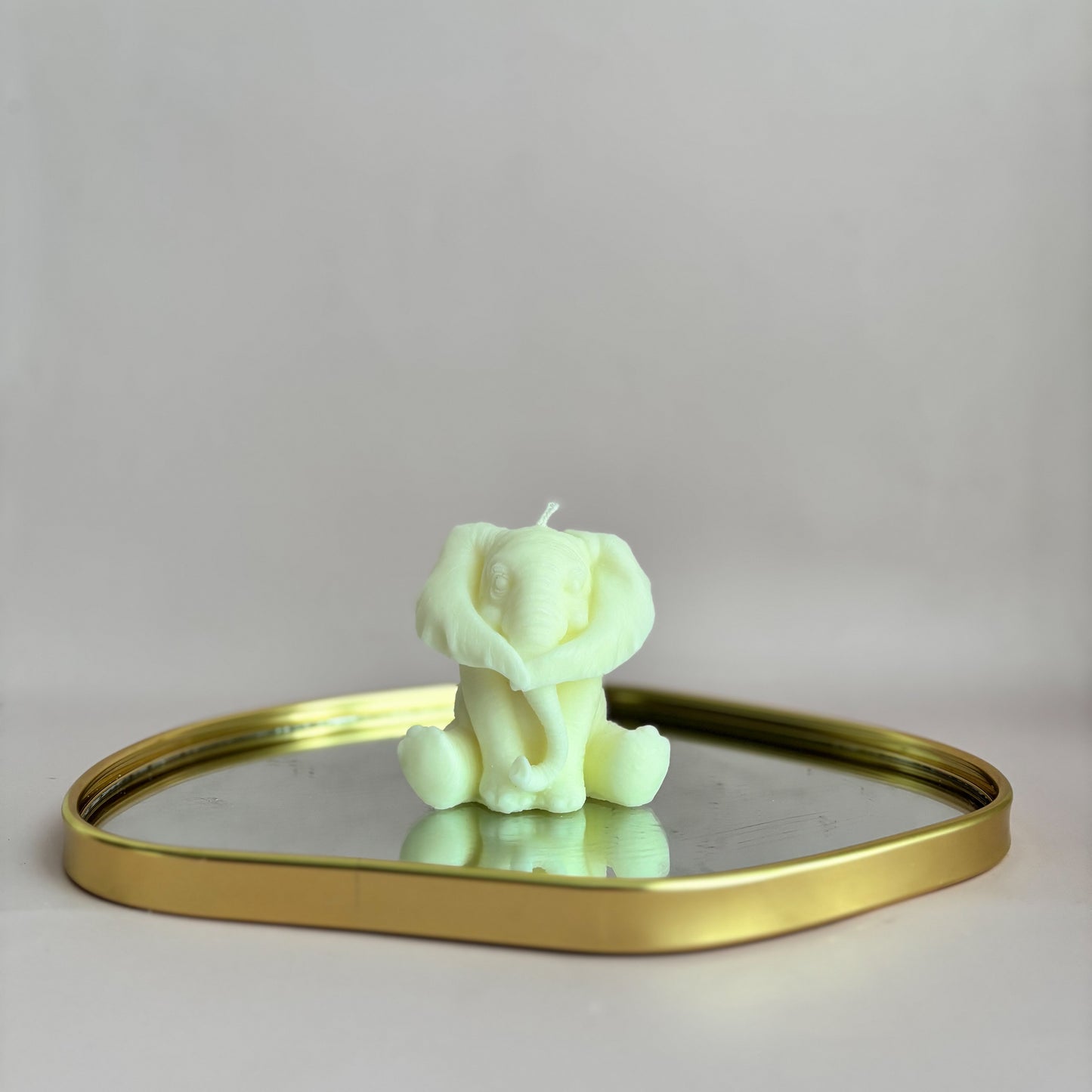 WISE ELEPHANTS