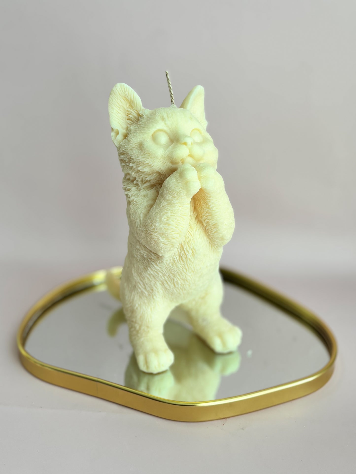 KITTY STANDING