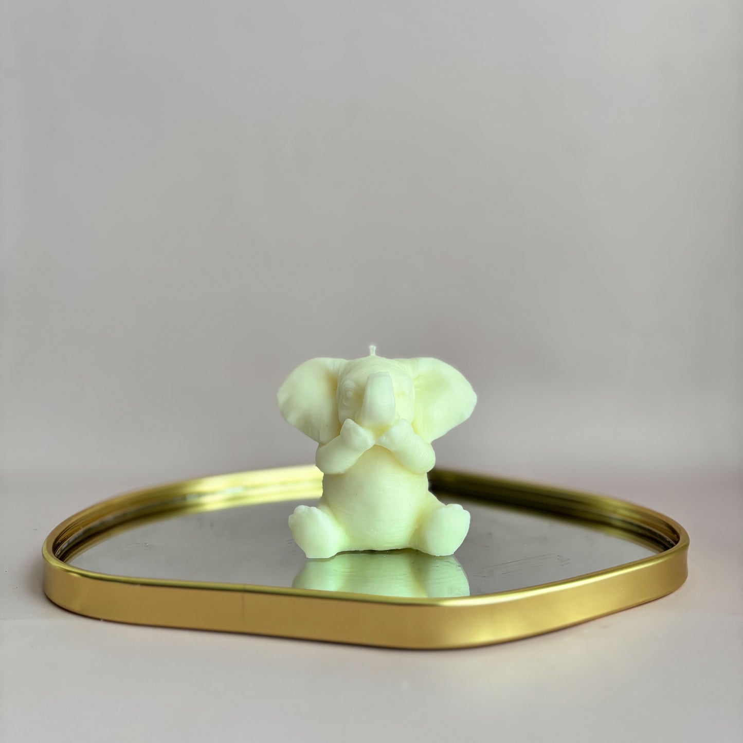 WISE ELEPHANTS