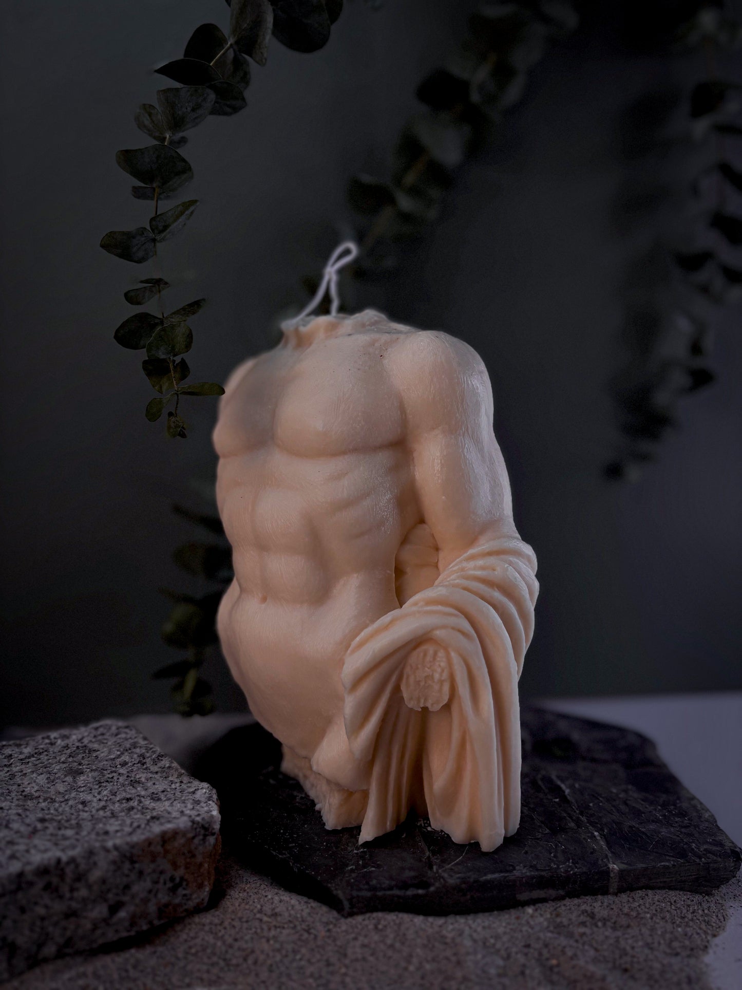Hercules Torso