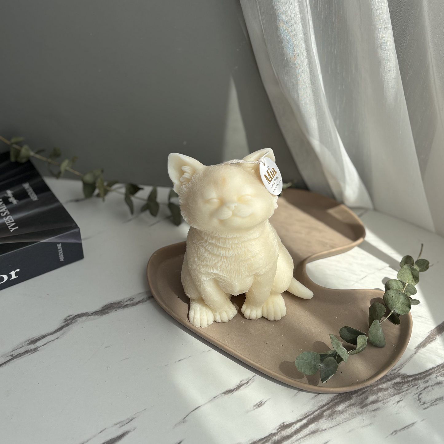 KITTY SITTING