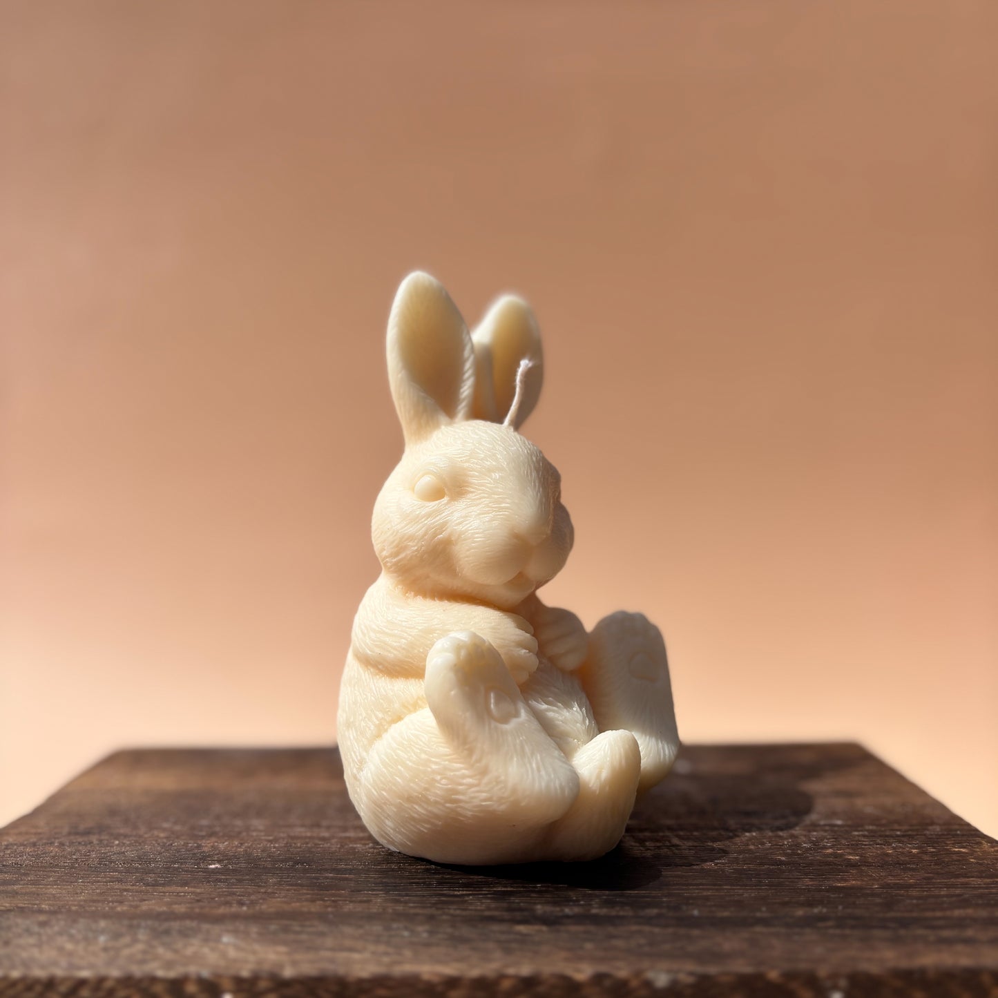 CROSSED LEGS RABBIT