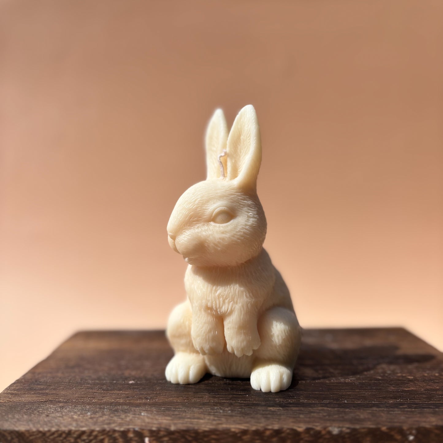 HAND IN HAND RABBIT