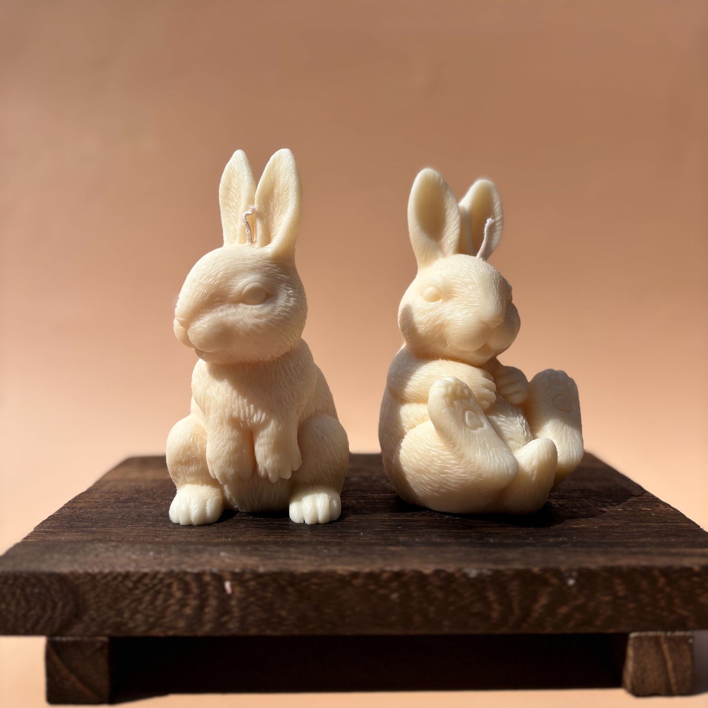 HAND IN HAND RABBIT