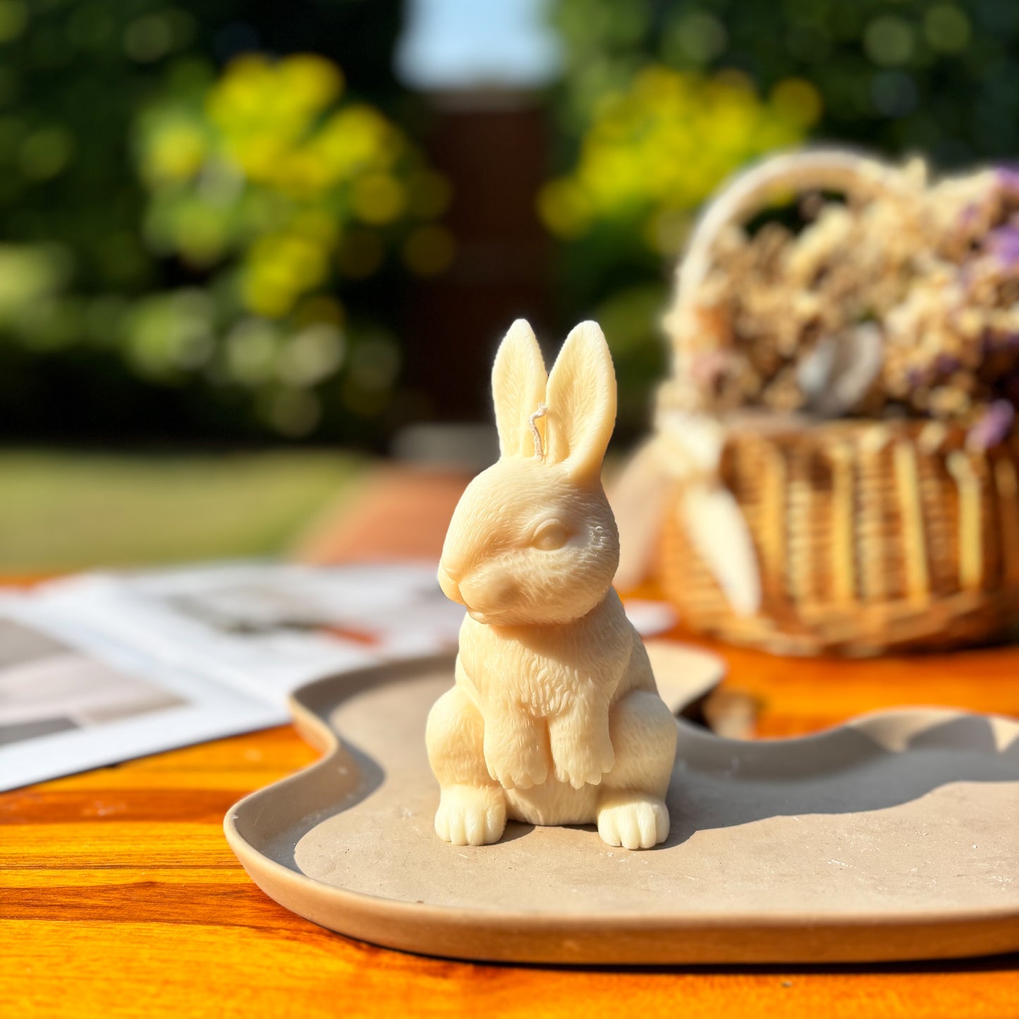HAND IN HAND RABBIT