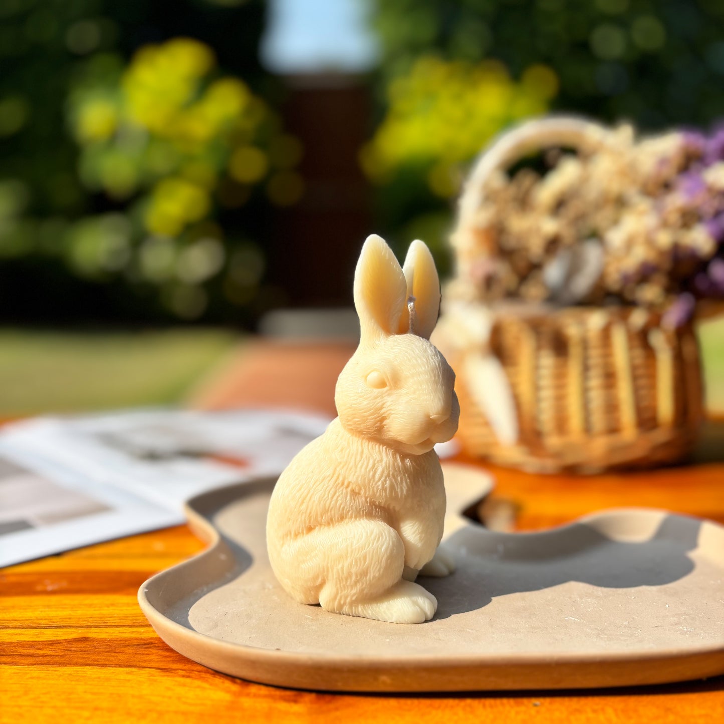 HAND IN HAND RABBIT