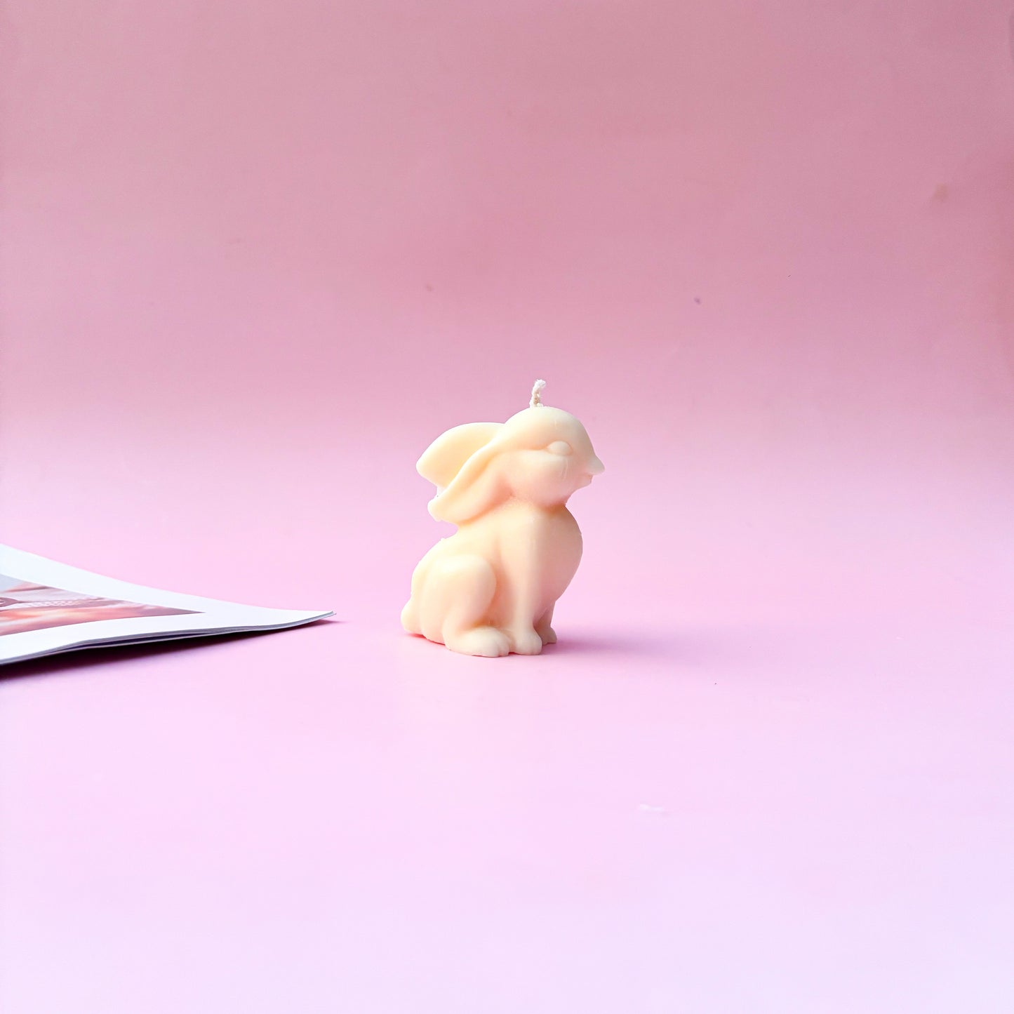 BUNNY BUNNY SET