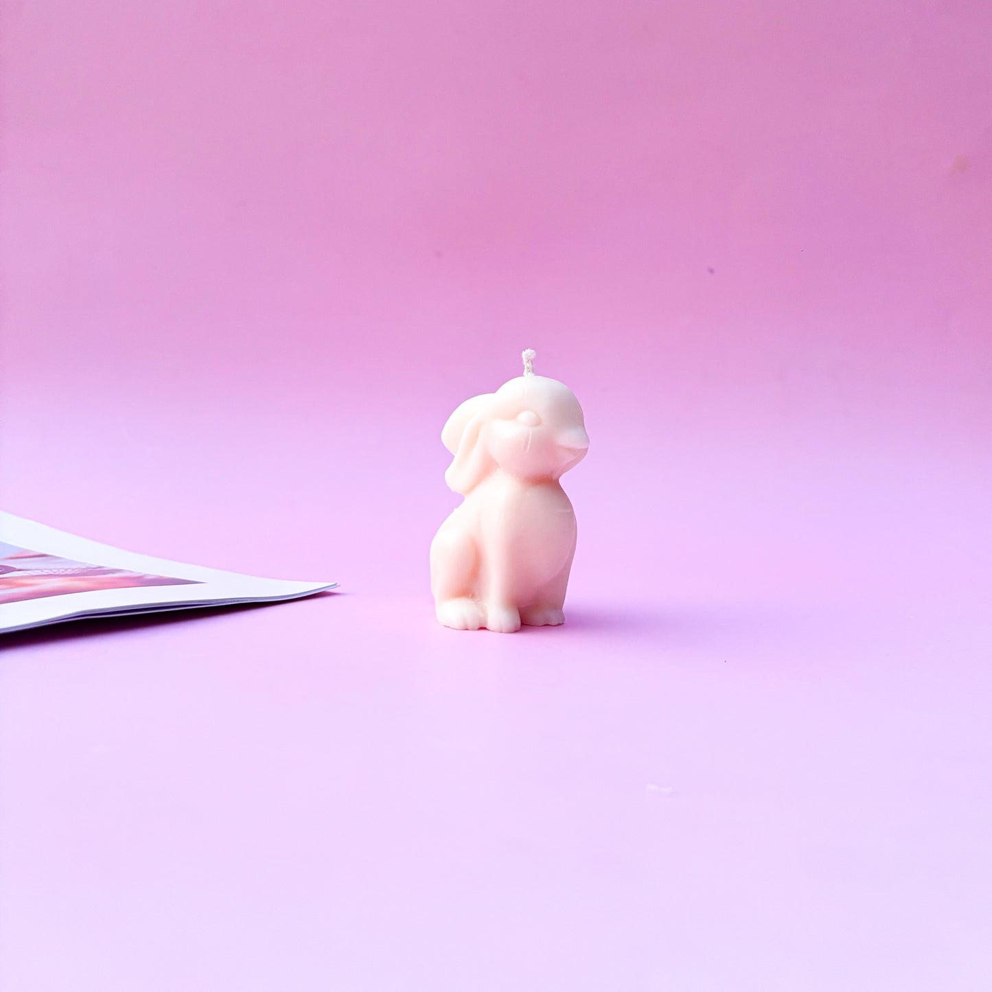 BUNNY BUNNY