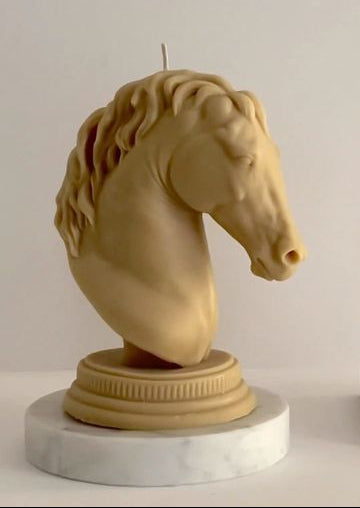 HORSE HEAD
