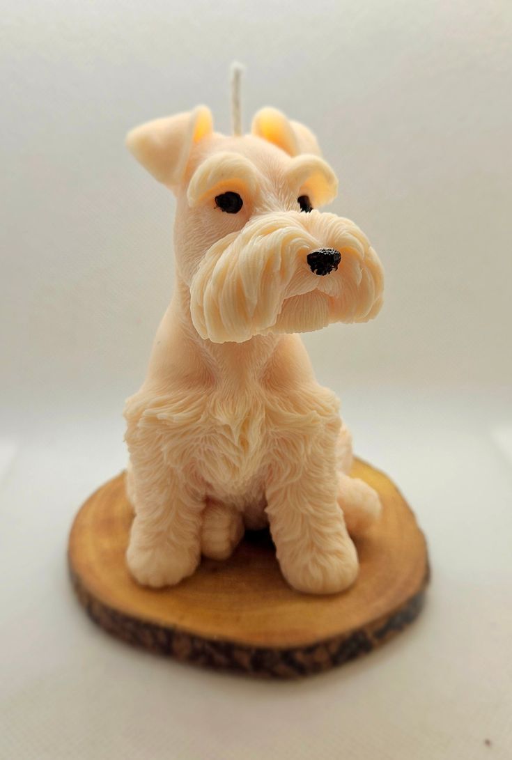 SCHNAUZER PUPPY