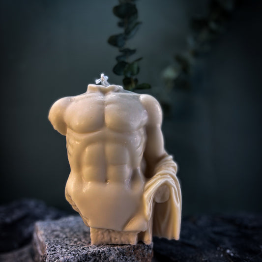 Hercules Torso